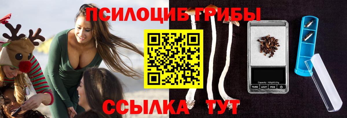 Псилоцибиновые грибы мицелий  Вход с VPN  Советский 